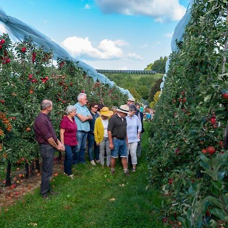 Vakantie Oord Zonnehoeve Valkenburg aan de Geul Εξωτερικό φωτογραφία